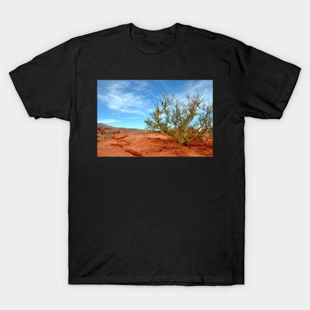 Argentine - Quebrada de las Conchas T-Shirt by franck380